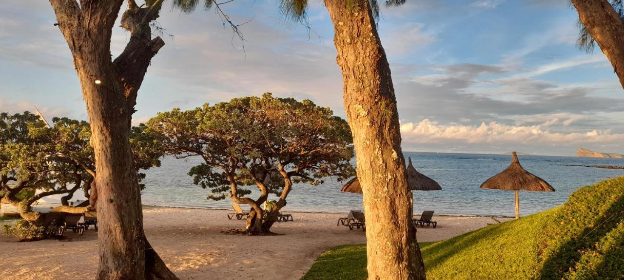 Luxury Villa L'Ile Maurice 푸앵트 오 카노니에 외부 사진
